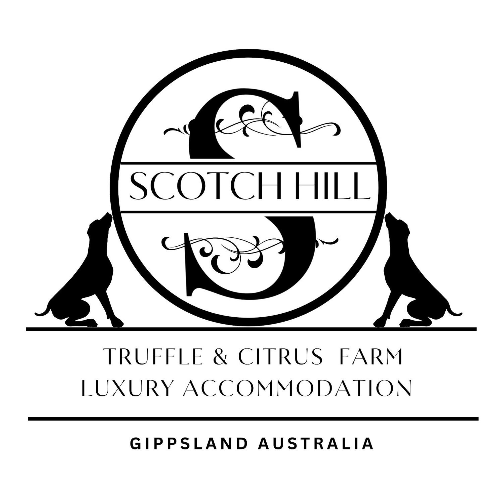 Wake Up To Stunning Views - Luxury Summer Escape By Scotch Hill Truffle Farm Hotel Neerim South Exterior photo