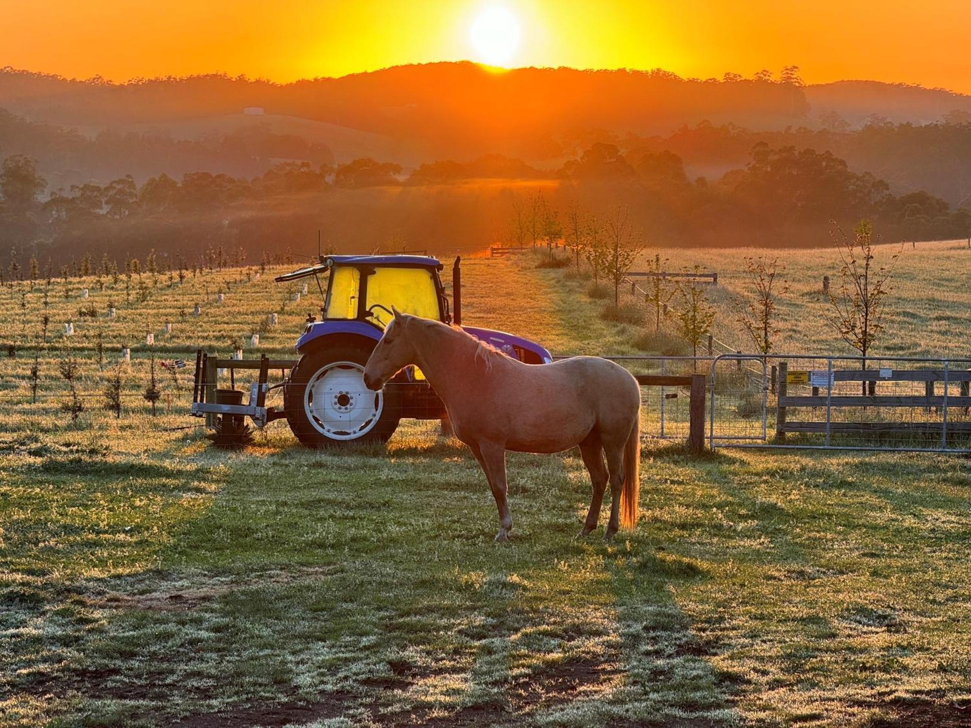 Wake Up To Stunning Views - Luxury Summer Escape By Scotch Hill Truffle Farm Hotel Neerim South Exterior photo