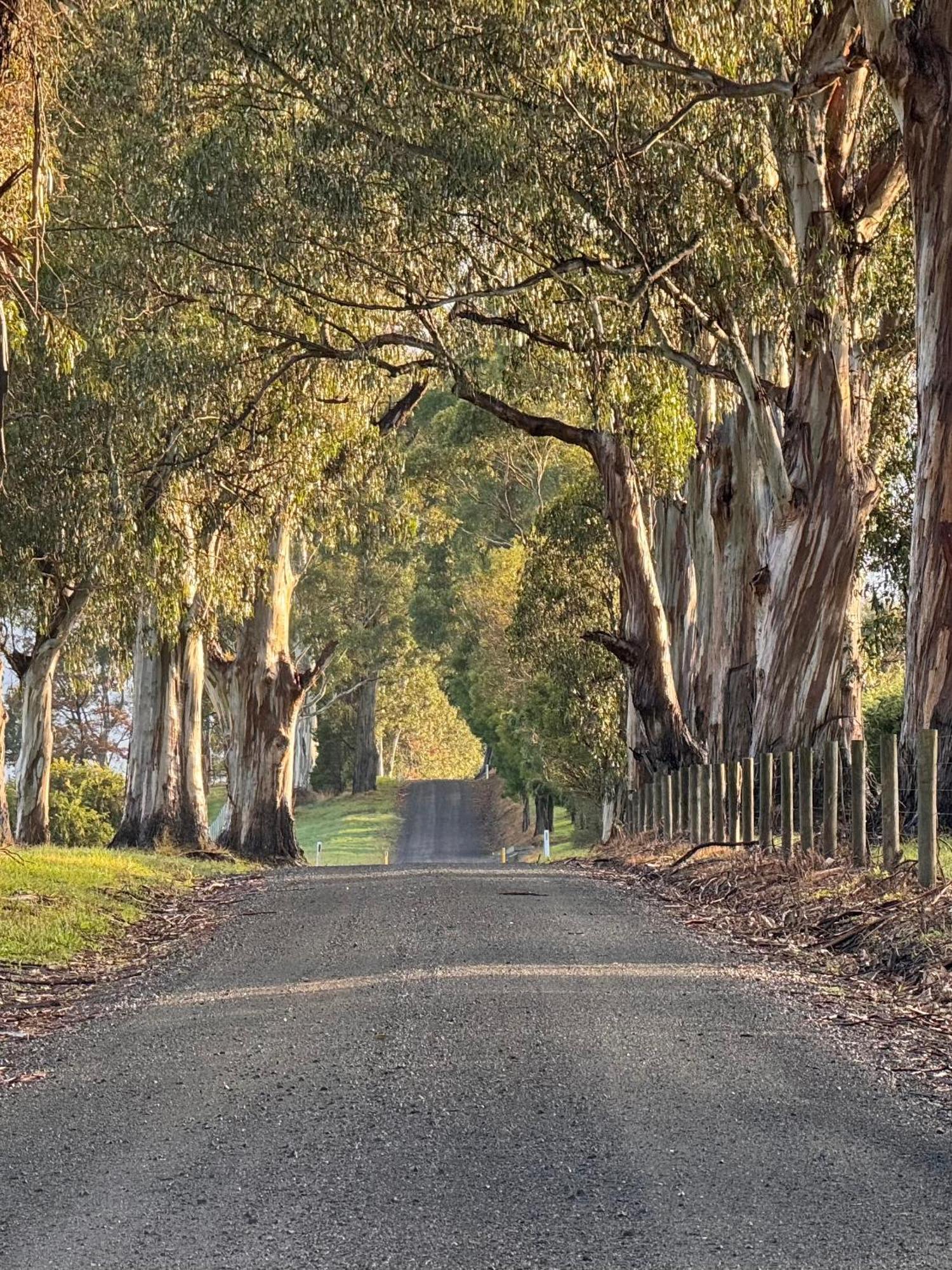 Wake Up To Stunning Views - Luxury Summer Escape By Scotch Hill Truffle Farm Hotel Neerim South Exterior photo