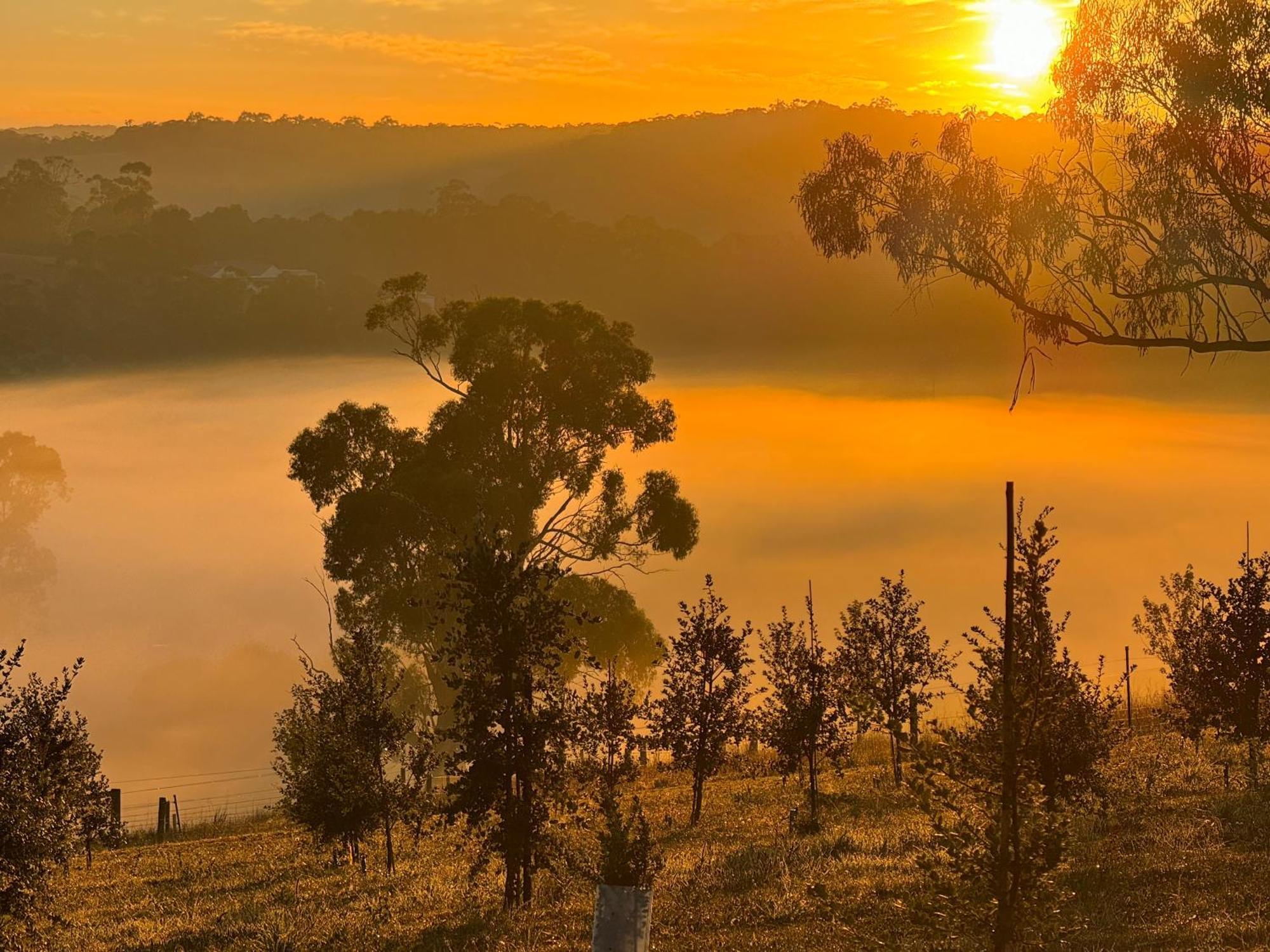 Wake Up To Stunning Views - Luxury Summer Escape By Scotch Hill Truffle Farm Hotel Neerim South Exterior photo