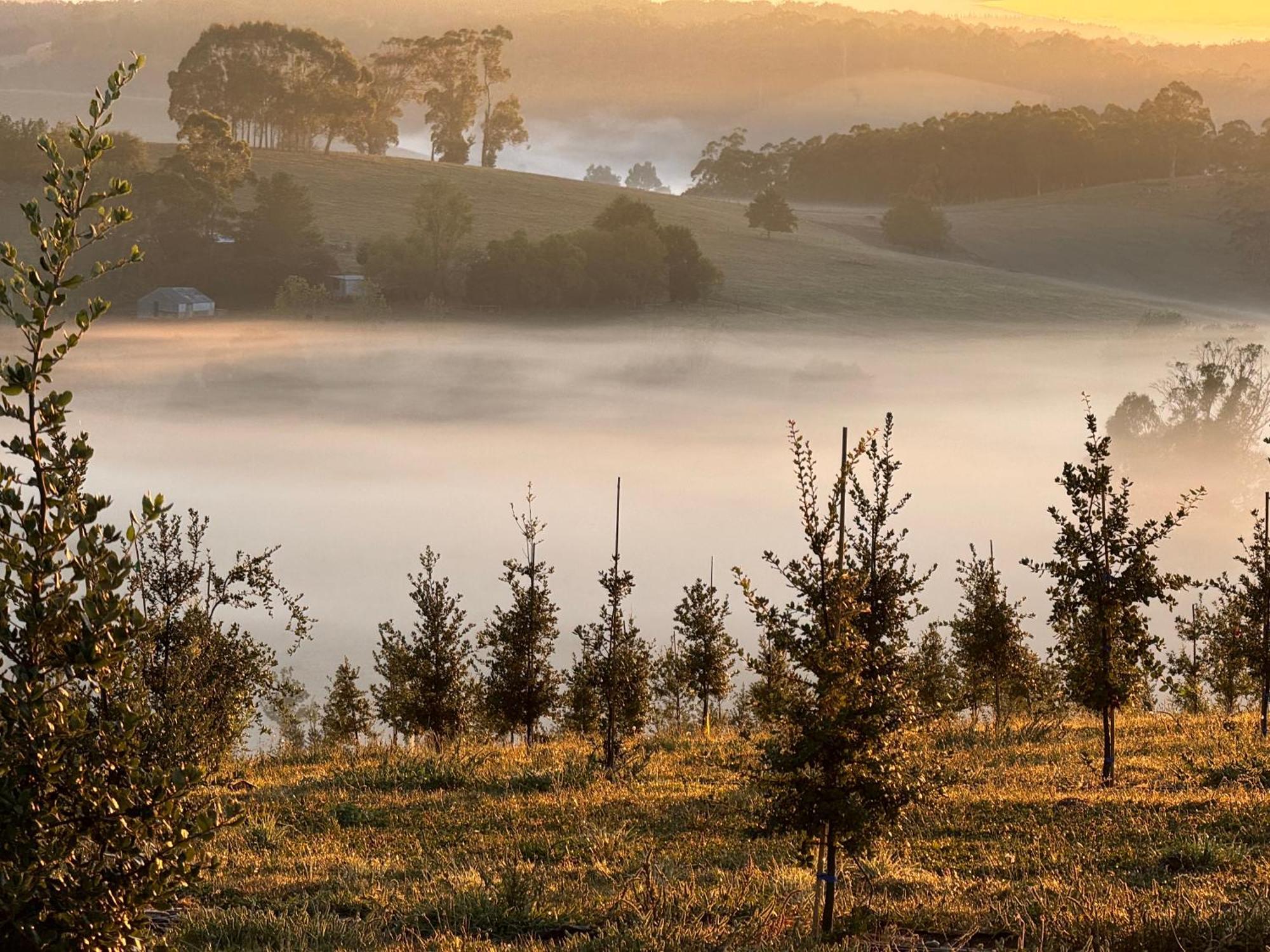 Wake Up To Stunning Views - Luxury Summer Escape By Scotch Hill Truffle Farm Hotel Neerim South Exterior photo