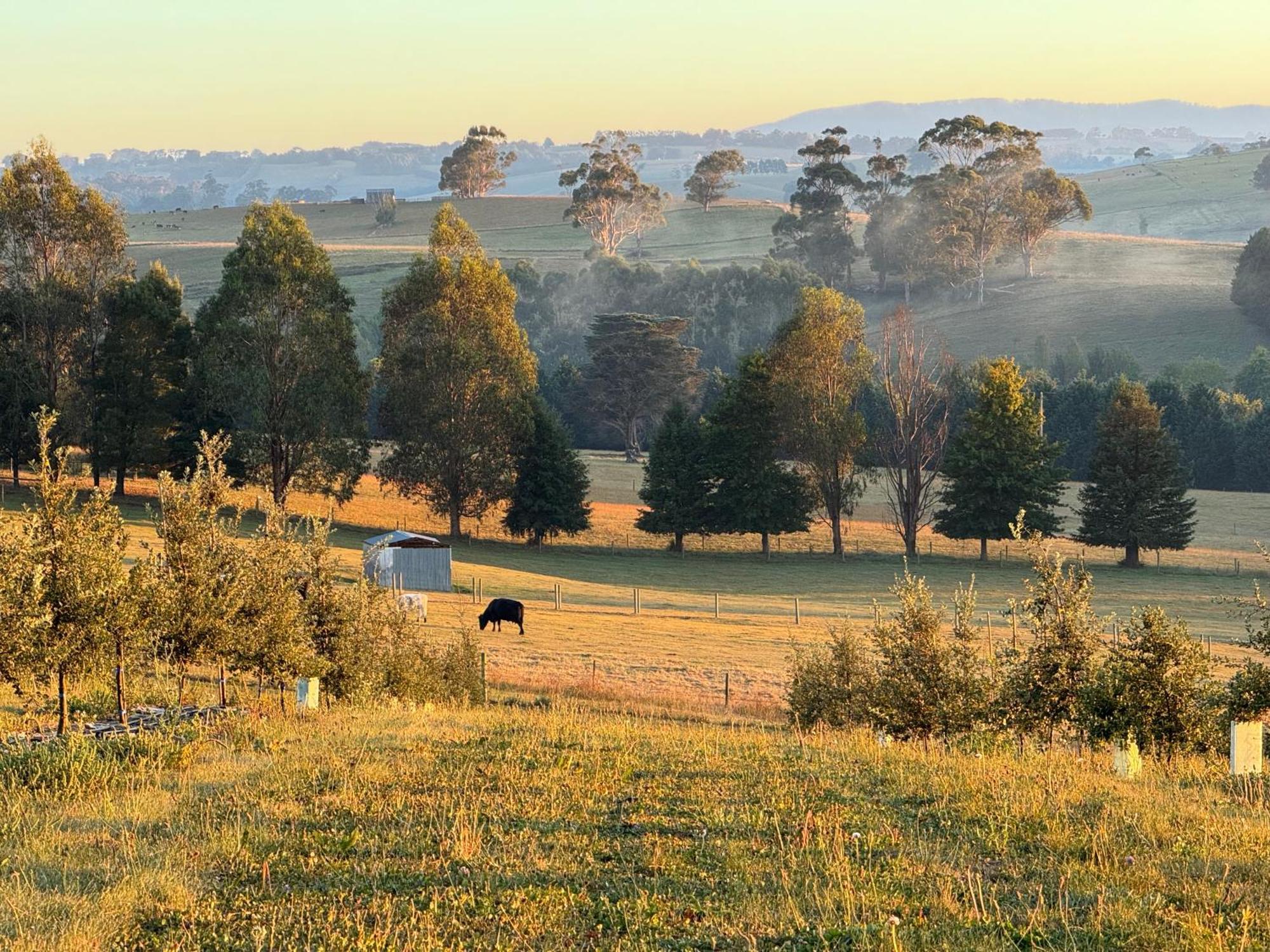 Wake Up To Stunning Views - Luxury Summer Escape By Scotch Hill Truffle Farm Hotel Neerim South Exterior photo